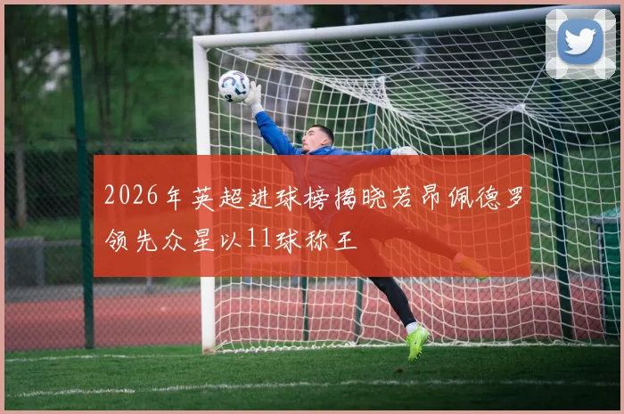2026年英超进球榜揭晓若昂佩德罗领先众星以11球称王