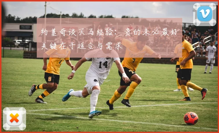约基奇谈买马经验：贵的未必最好关键在于适合与需求